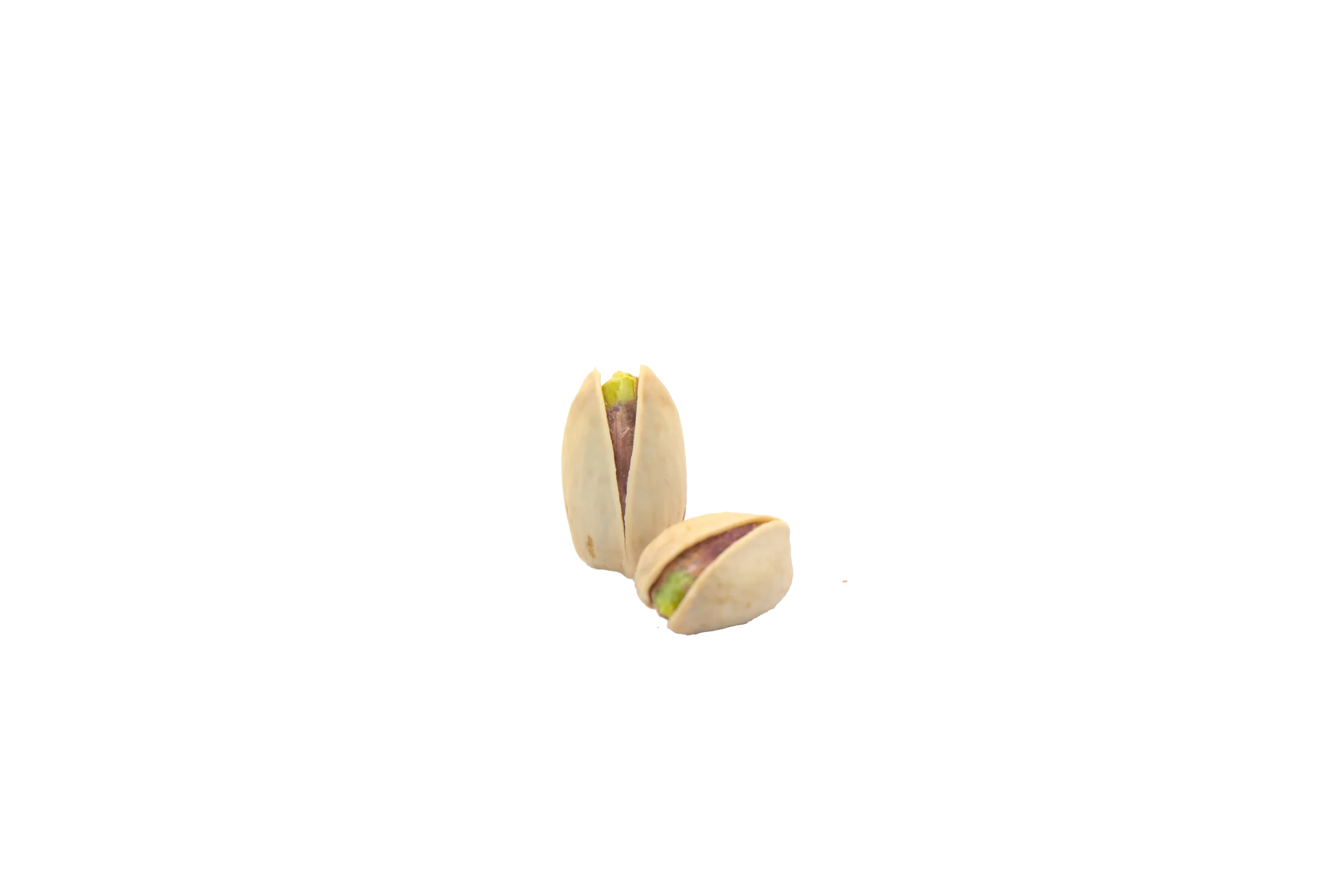 پسته اکبری