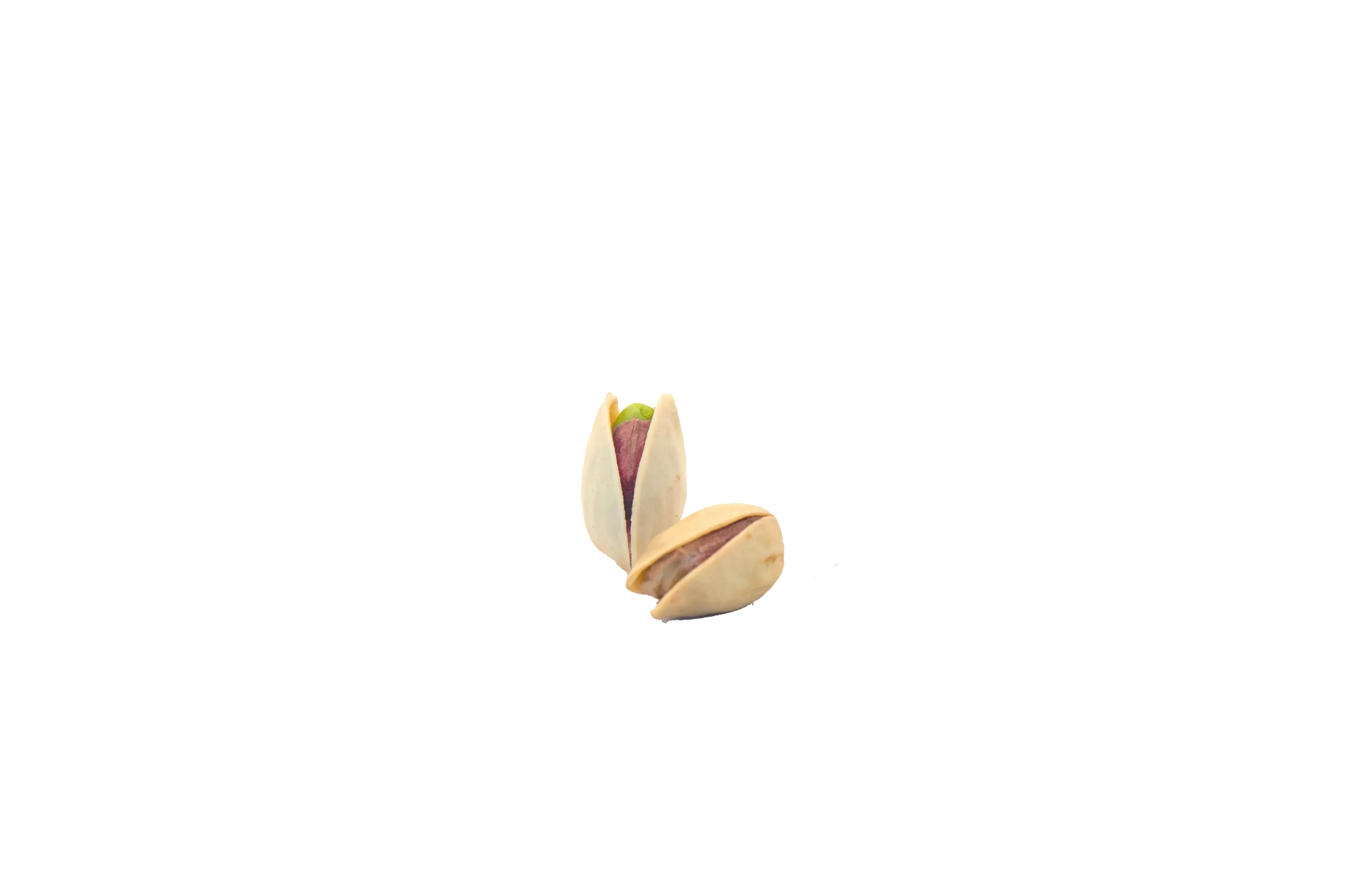 پسته کله قوچی