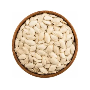 تخمه کدو