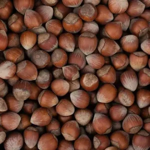 فندق
