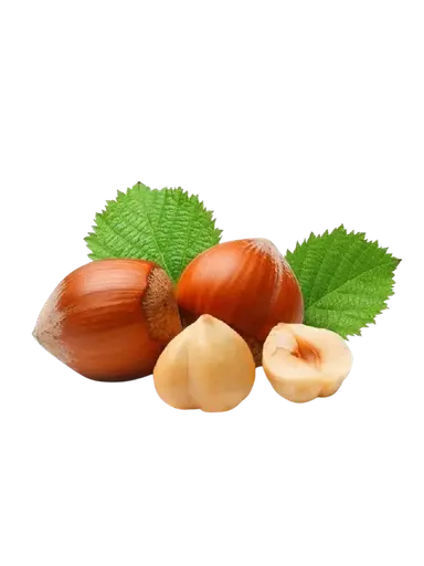 فندق سبو